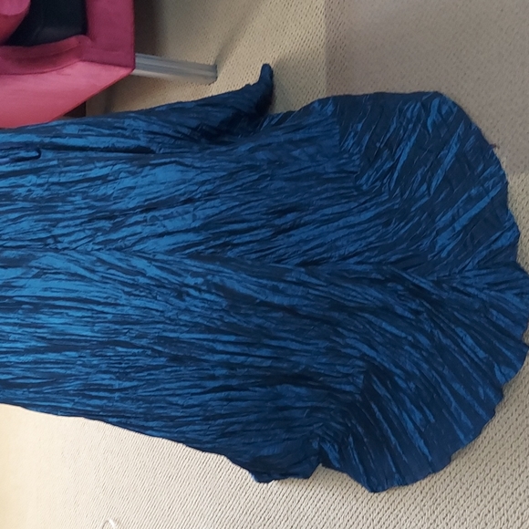 Beautiful Pleated Maxi Skirt - Picture 4 of 10